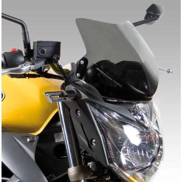 WINDSCHILD AEROSPORT Yamaha XJ6